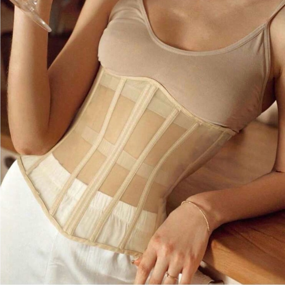 Sheer High-Waist Sculpting Waist Cincher in Beige